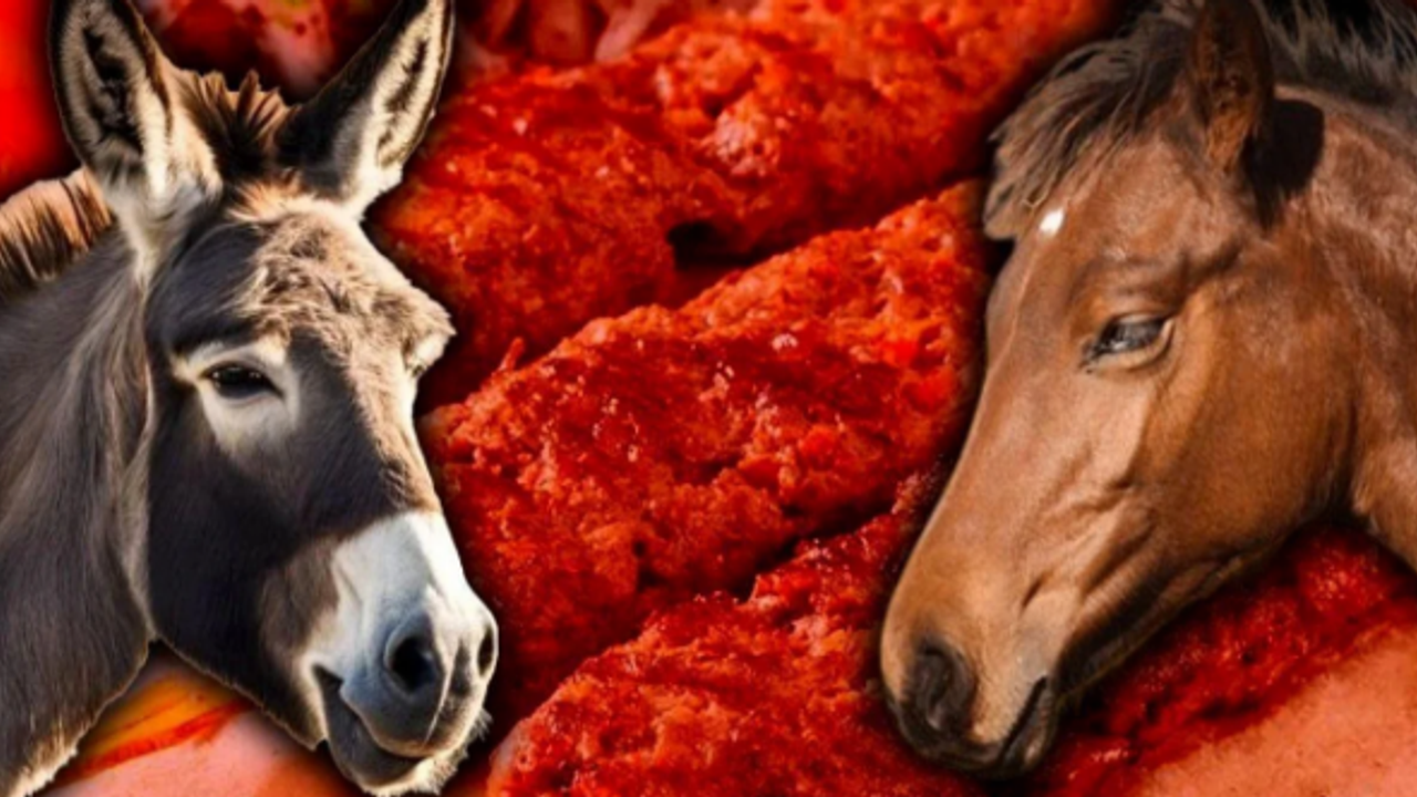 At ve Eşek Eti Satan İkinci Kez Listede