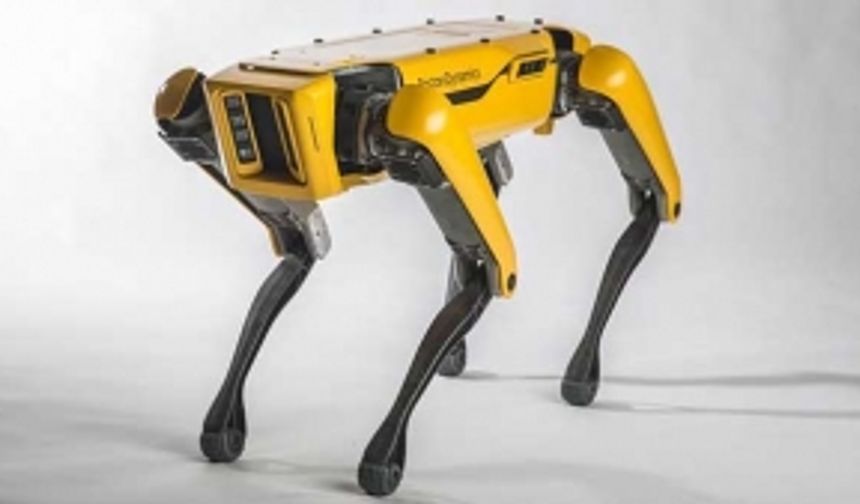 Köpek Robotlar Sahaya İnmeye Başladı!