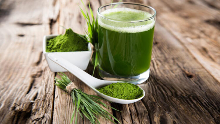 Spirulina nedir
